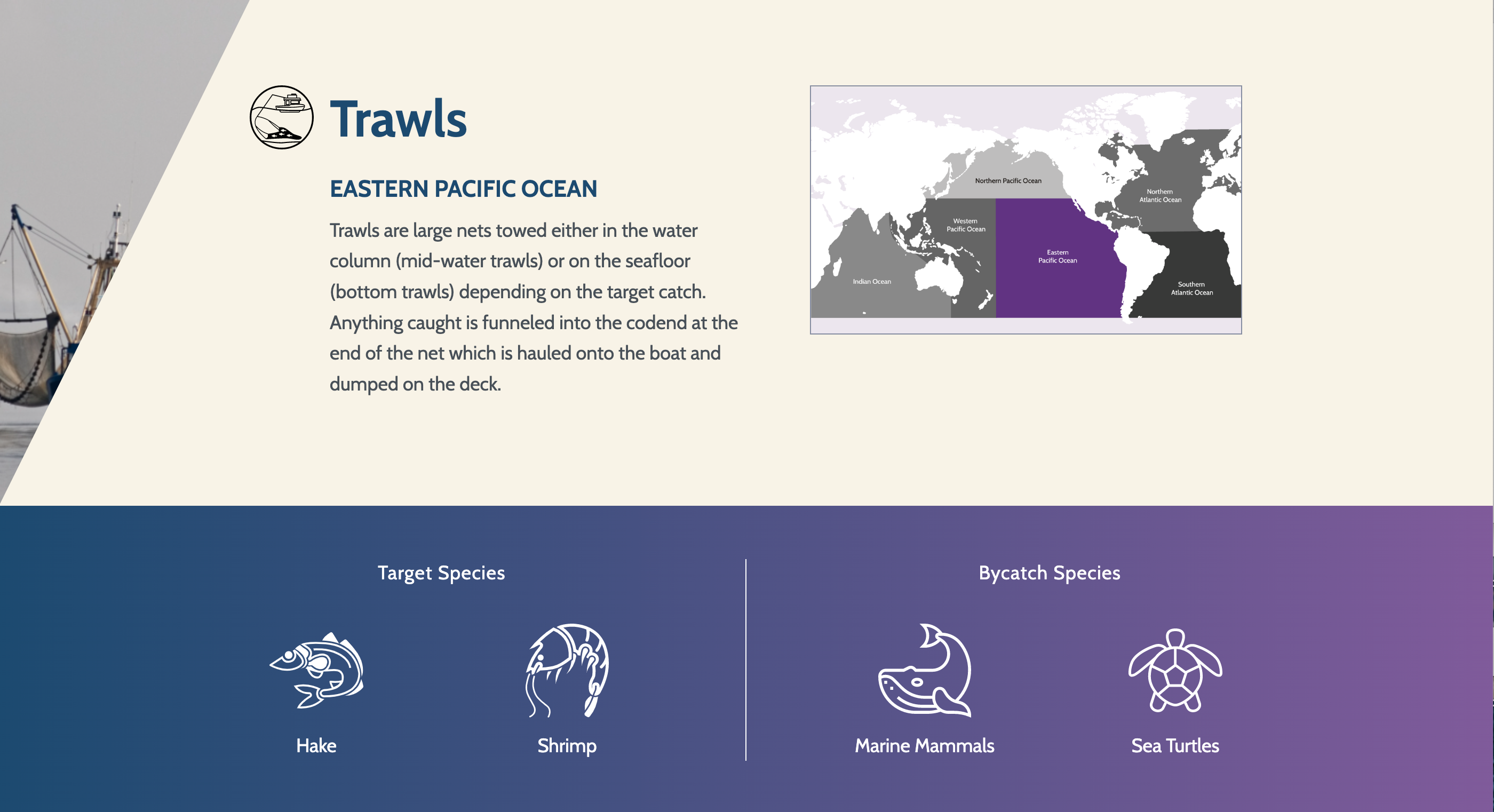 Trawls Fishery landing page design for Eastern Pacific Ocean