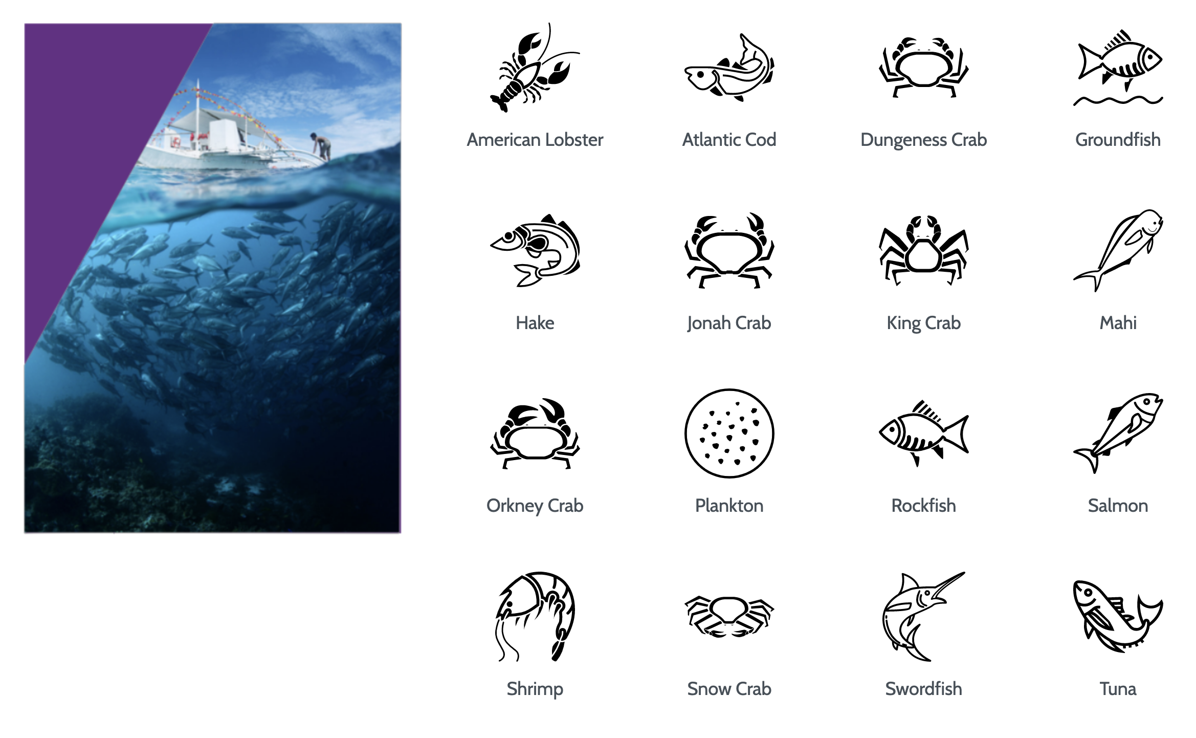 icons for 16 target species